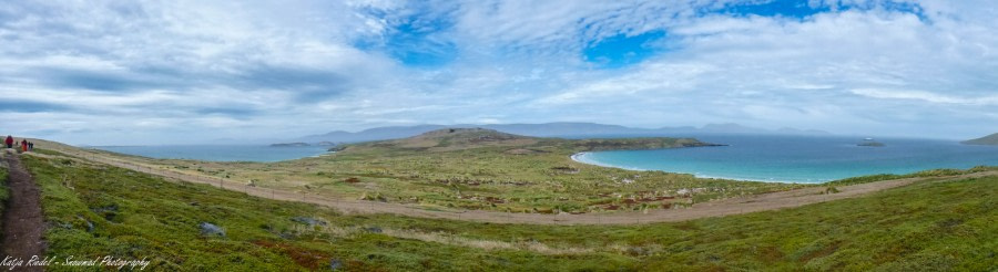 PLA25-18 FALKLANDS, 20190111_Katja Riedel_P1040096 -Oceanwide Expeditions.jpg