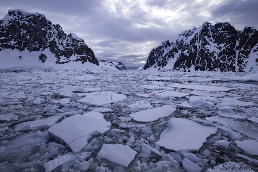 PLA25-18 NEKO & LOCKROY, lemaire -Oceanwide Expeditions.jpg