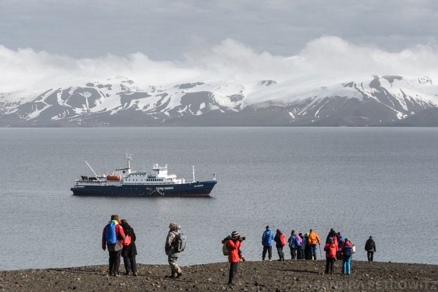 PLA25-18 HALF MOON & DECEPTION, 20190121_SandraPetrowitz__DSC9792 -Oceanwide Expeditions.jpg