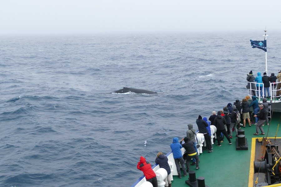 PLA24-18, 27th Whale spotting -Oceanwide Expeditions.JPG
