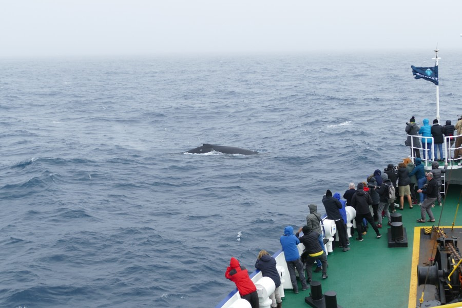 At sea, en route to South Georgia