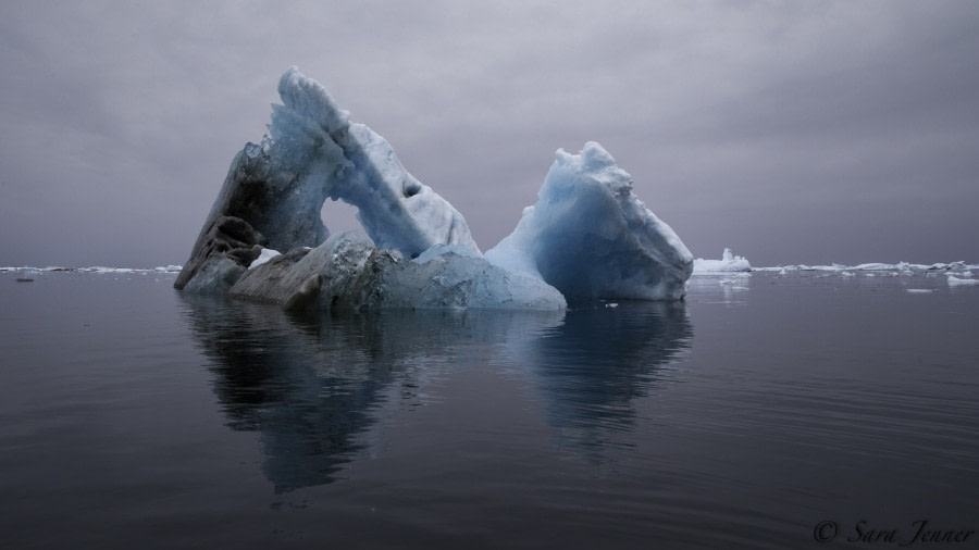 PLA27-19, Day 5 Iceberg - Oceanwide Expeditions.jpg