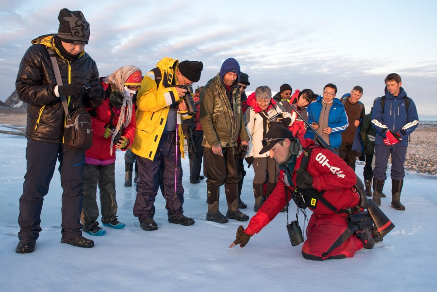 Around Spitsbergen, Kvitoya, August © Zoutfotografie-Oceanwide Expeditions (108).JPG