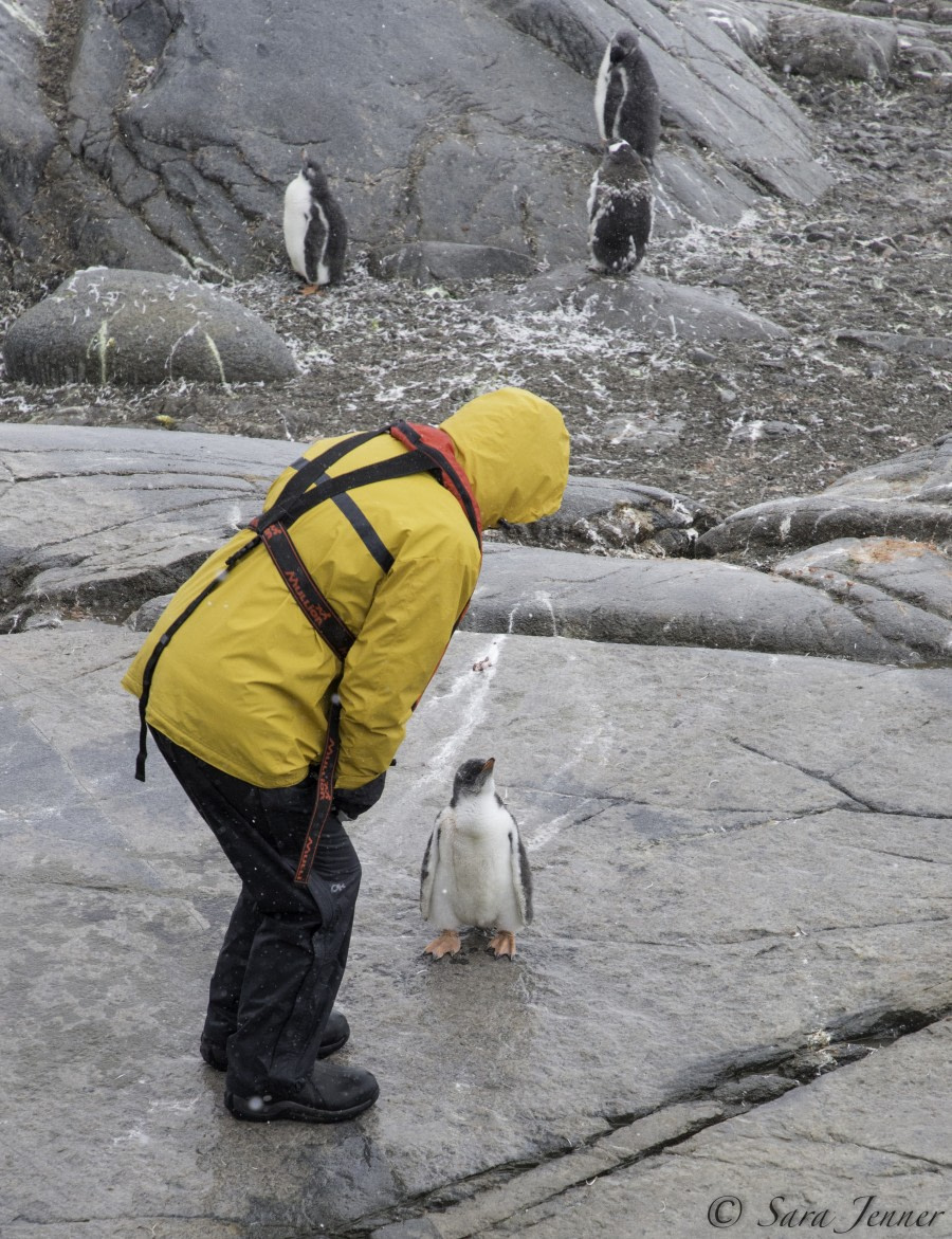 PLA27-19, Day 6 Guest 3 - Oceanwide Expeditions.jpg