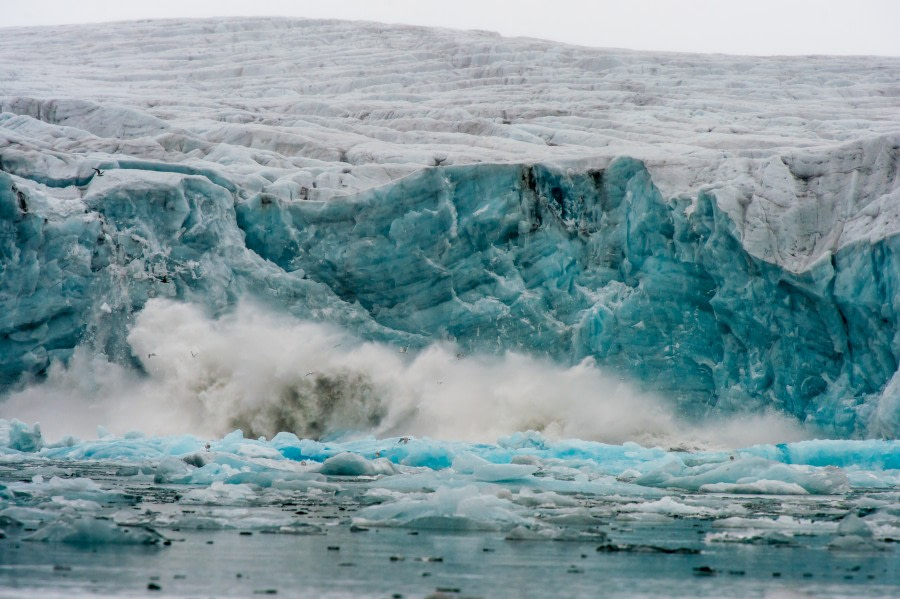 Around Spitsbergen, Kvitoya, August © Zoutfotografie-Oceanwide Expeditions (317).JPG