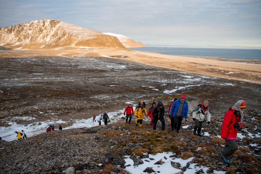 Around Spitsbergen, Kvitoya, August © Zoutfotografie-Oceanwide Expeditions (103).JPG