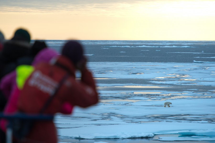 Around Spitsbergen, Kvitoya, August © Zoutfotografie-Oceanwide Expeditions (84).JPG