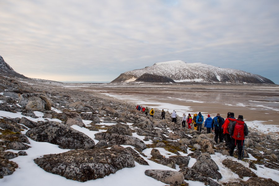 Around Spitsbergen, Kvitoya, August © Zoutfotografie-Oceanwide Expeditions (90).JPG