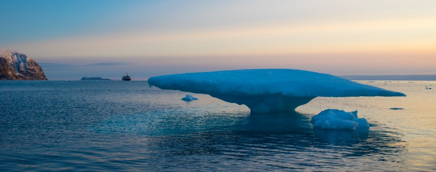 Around Spitsbergen, Kvitoya, August © Zoutfotografie-Oceanwide Expeditions (115).JPG