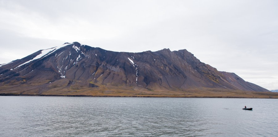 Around Spitsbergen, Kvitoya, August © Zoutfotografie-Oceanwide Expeditions (325).JPG