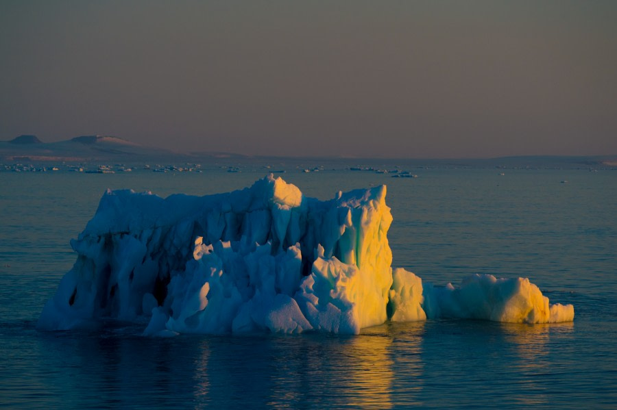 Around Spitsbergen, Kvitoya, August © Zoutfotografie-Oceanwide Expeditions (287) - kopie.JPG