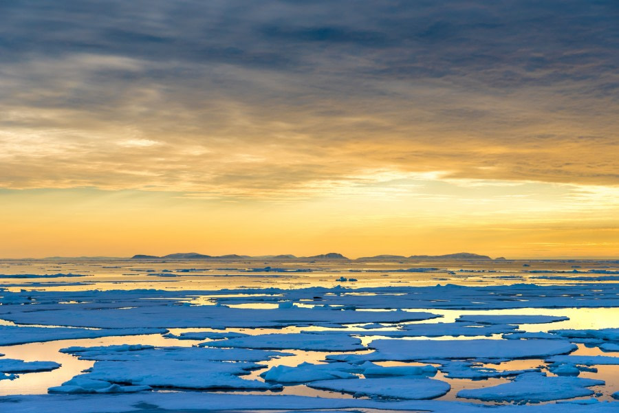 Around Spitsbergen, Kvitoya, August © Zoutfotografie-Oceanwide Expeditions (140) - kopie.JPG