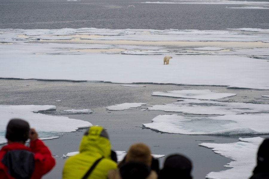 Around Spitsbergen, Kvitoya, August © Zoutfotografie-Oceanwide Expeditions (80).JPG