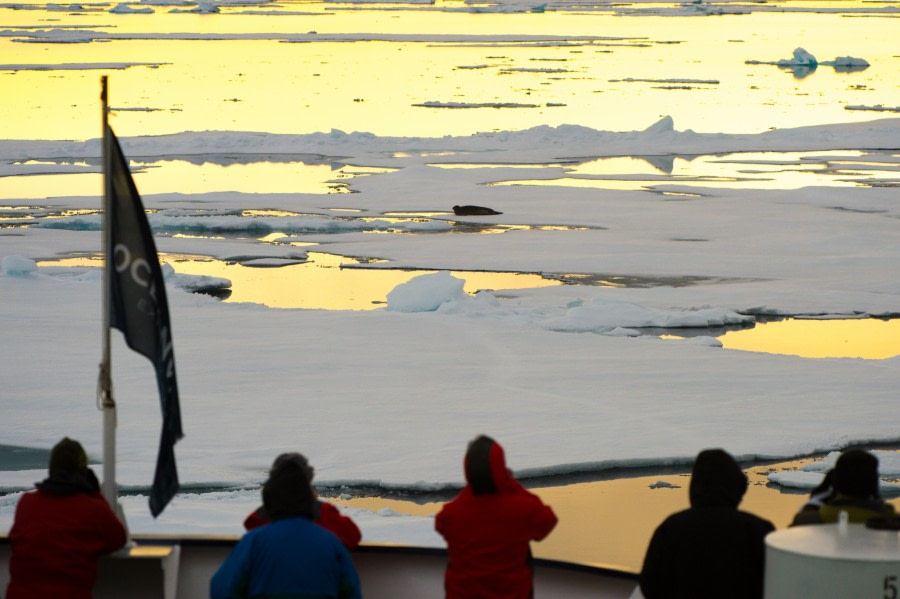 Around Spitsbergen, Kvitoya, August © Zoutfotografie-Oceanwide Expeditions (146) - kopie.JPG