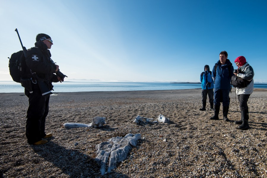 Around Spitsbergen, Kvitoya, August © Zoutfotografie-Oceanwide Expeditions (219) - kopie.JPG