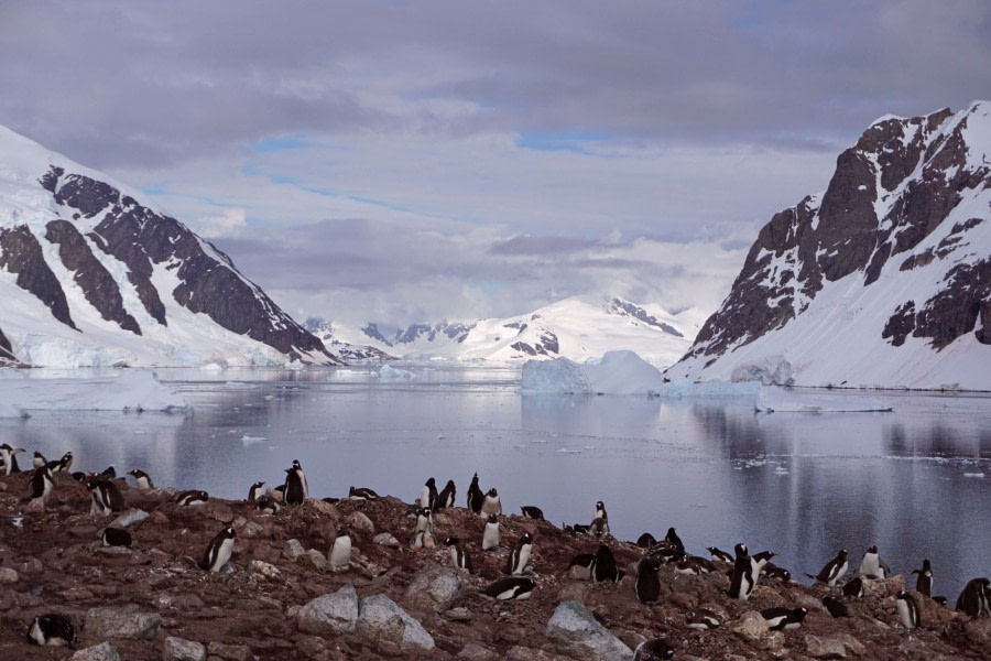 OTL30-19, DSC02034_PS_small - Oceanwide Expeditions.jpg