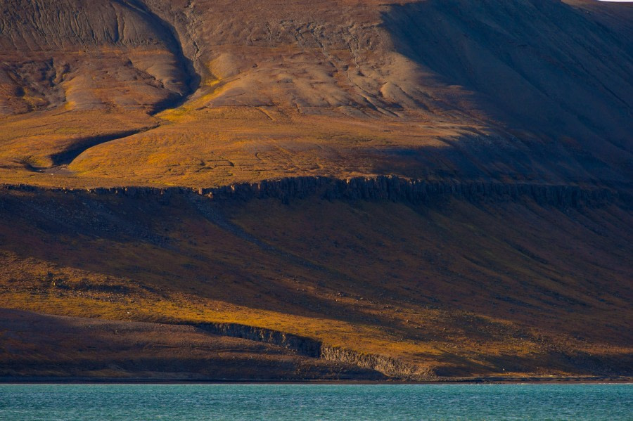 Around Spitsbergen, Kvitoya, August © Zoutfotografie-Oceanwide Expeditions (294).JPG