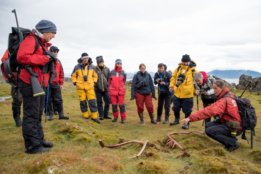 Around Spitsbergen, Kvitoya, August © Zoutfotografie-Oceanwide Expeditions (352).JPG