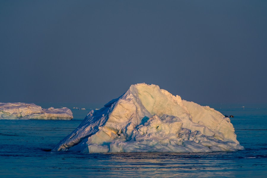 Around Spitsbergen, Kvitoya, August © Zoutfotografie-Oceanwide Expeditions (288).JPG