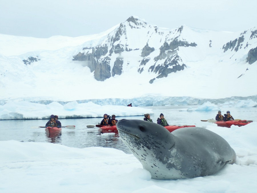 Orne Harbour, Antarctic Peninsula