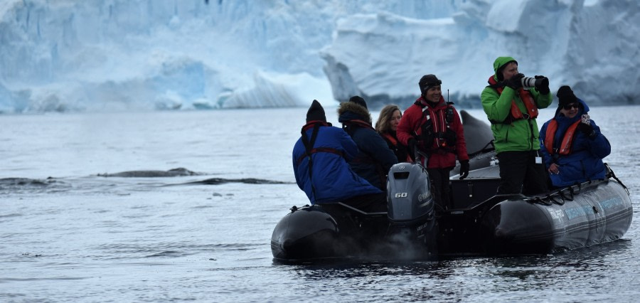 PLA31-19, DAY 04, 25 MAR Cuverville_Zodiak (8) - Oceanwide Expeditions.JPG