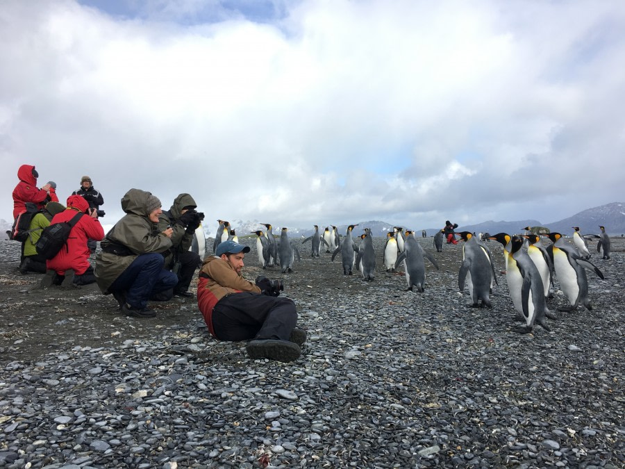 OTL31-19, Day 8, 23 FEB IMG_9407_Pippa - Oceanwide Expeditions.JPG