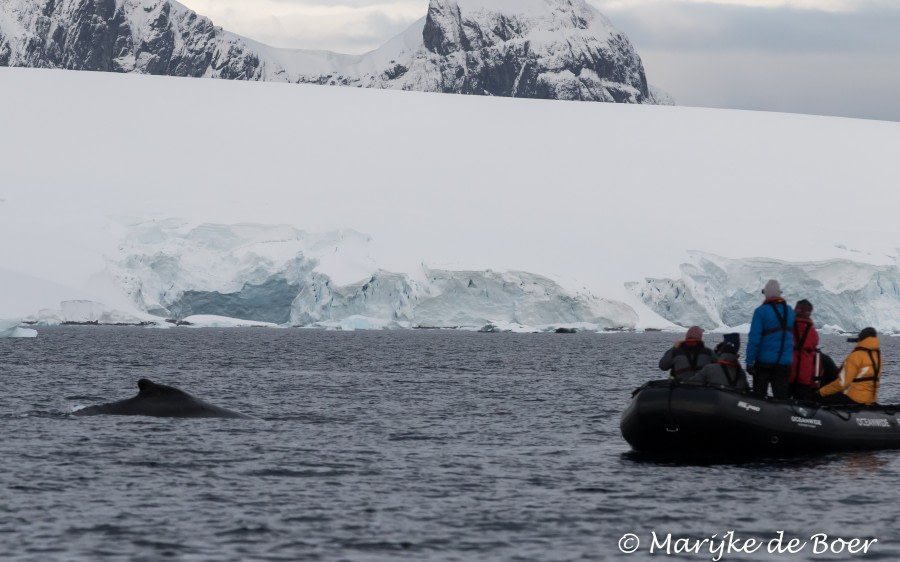 PLA30-19, DAY 6-16 MAR Cruise_Portal - Oceanwide Expeditions.jpg