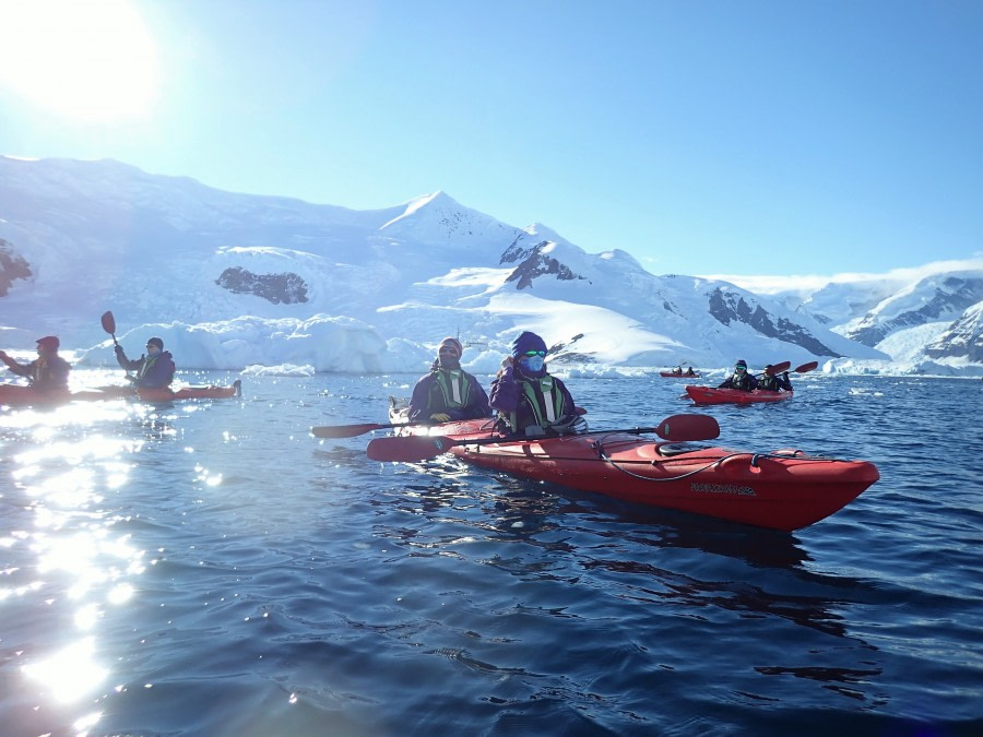 Neko Harbour & Danco Island, Antarctic Peninsula