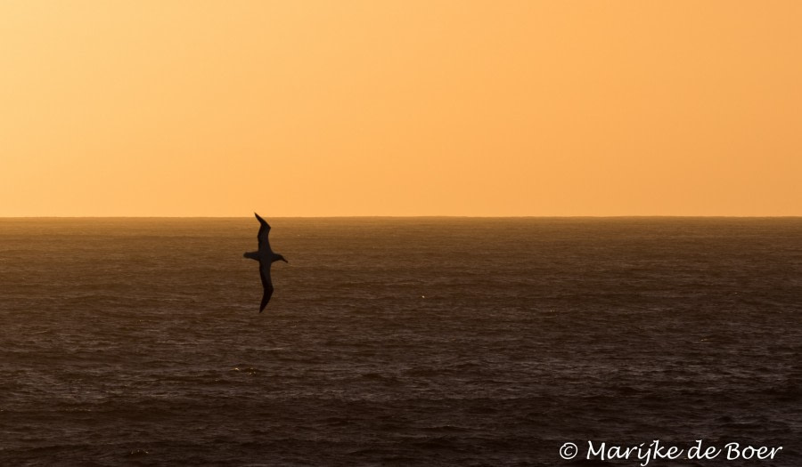 At Sea to Antarctica—Drake’s Passage