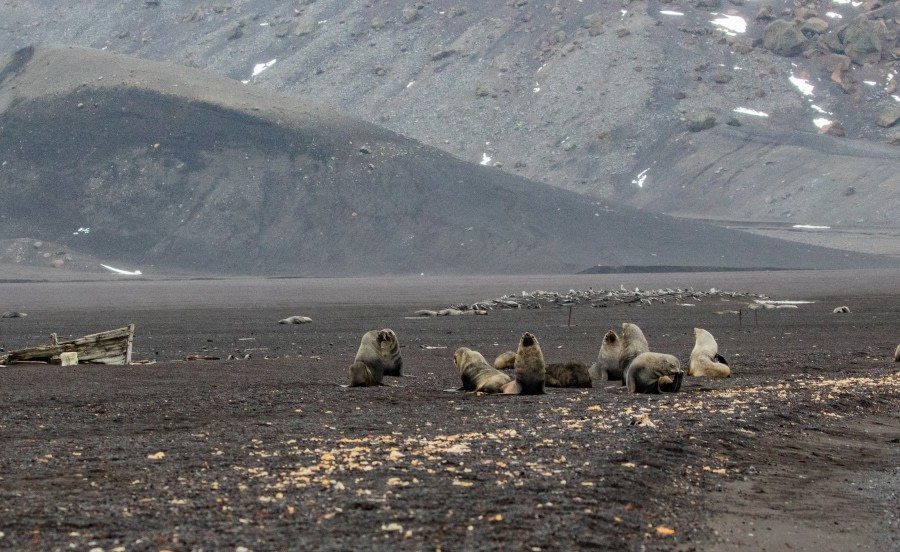 Whaler’s Bay, Deception Island