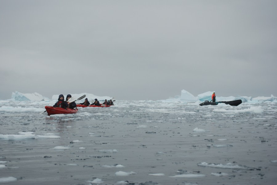 PLA29-19, DSC_0849 - Oceanwide Expeditions.JPG