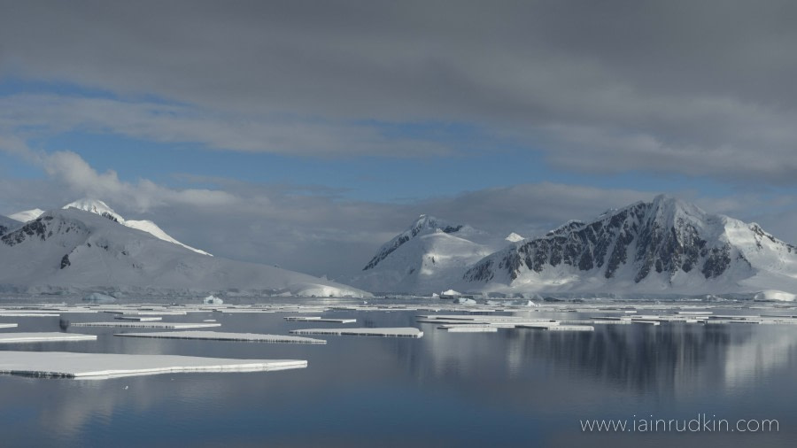 OTL33-19, DAY 5, 22 MAR DSC_8749 - Oceanwide Expeditions.jpg