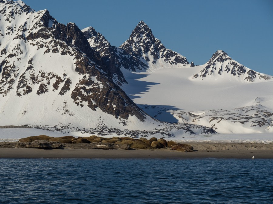 PLA04-19, DAY 06, Magdalenafjorden_3_Fridrik - Oceanwide Expeditions.jpg