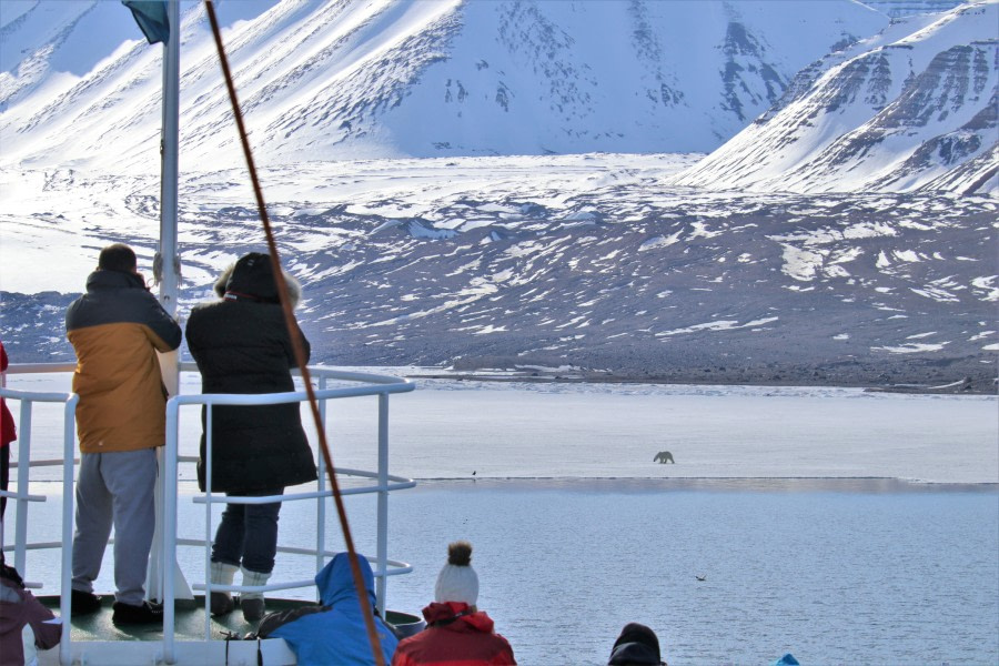 Skansbukta & Yolandiabukta