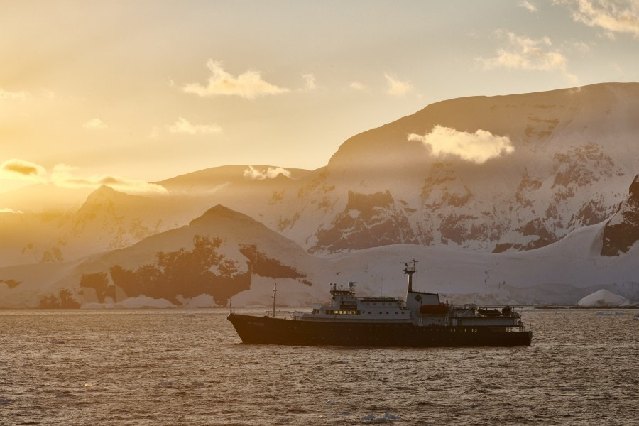 Antarctica, Plancius; Lemaire © Mike Louagie-Oceanwide Expeditions.jpg