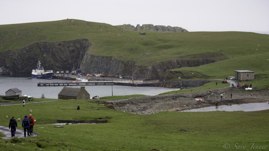 HDS03-19, DAY 04 Fair Isle - Oceanwide Expeditions.jpg