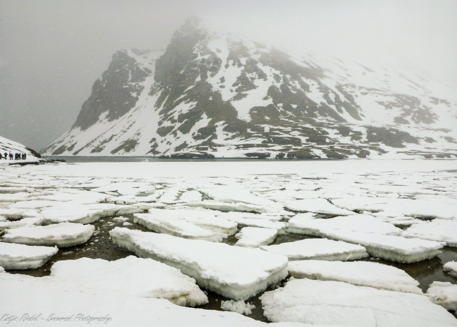 PLA05-19, 20190607_Katja Riedel_P1080315 - Oceanwide Expeditions.jpg