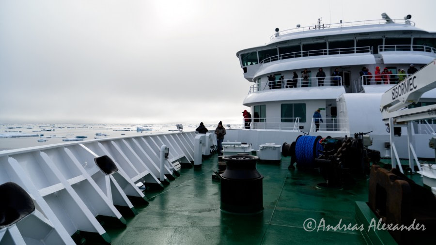 HDS03-19, DAY 09 _DSC5788 - Oceanwide Expeditions.jpg