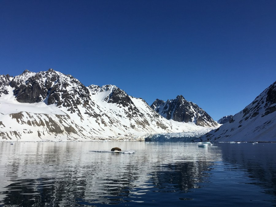 Smeerenburg und Magdalenenfjorden