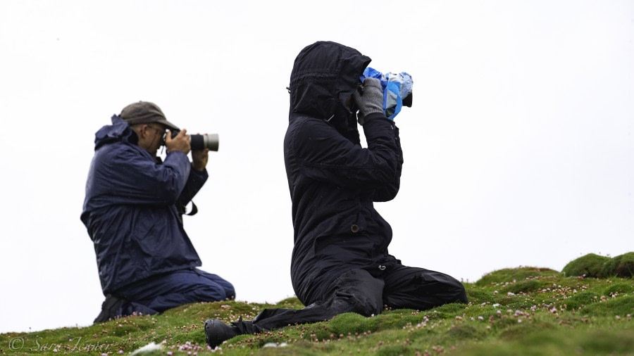 HDS03-19, DAY 04 Guest 8 - Oceanwide Expeditions.jpg