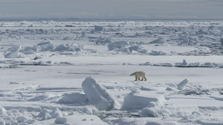 HDS05-19, DAY 04, Iain Rudkin - Landscape3 - 24062019 - Oceanwide Expeditions.jpg