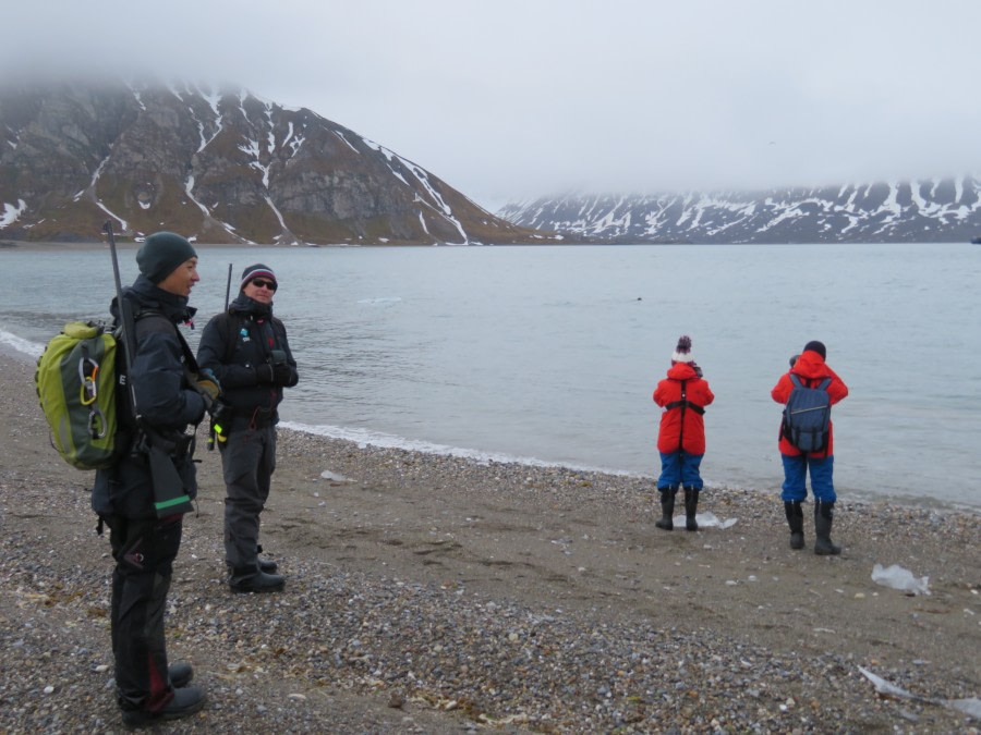 HDS05-19, DAY 07, MiriamVermeij-2706-Seal in water landingsite A - Oceanwide Expeditions.jpg