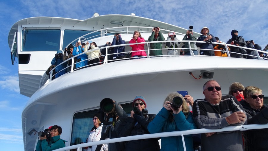 HDS05-19, DAY 05, meike walrus watching - Oceanwide Expeditions.jpg