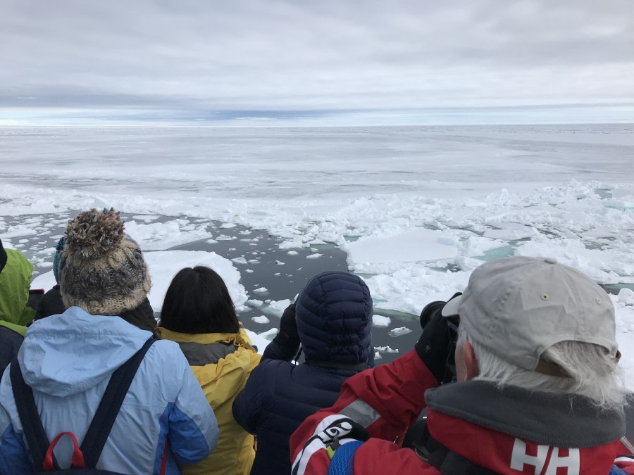 Pack ice and Bråsvellbreen