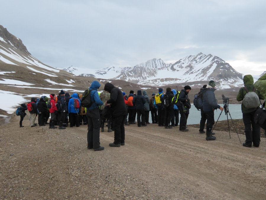 HDS06-19, DAY 05, MiriamVermeij-0207-Bird walk 1 - Oceanwide Expeditions.jpg