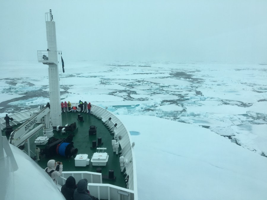 HDS06-19, DAY 06, MiriamVermeij-0307-Sailing through the ice - Oceanwide Expeditions.jpg
