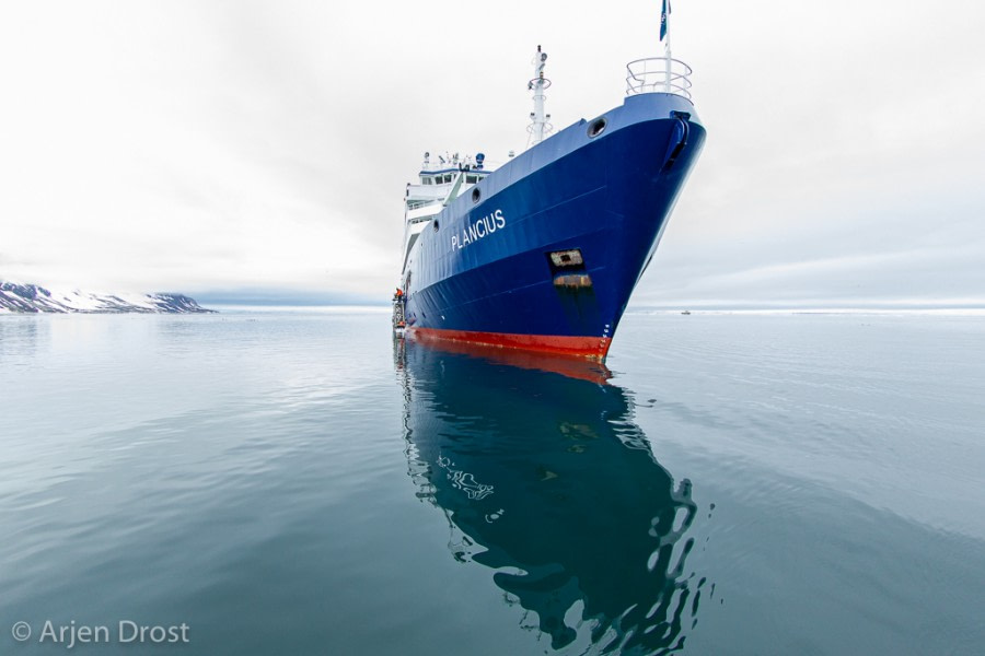 PLA09-19, DAY 05, Alkefjellet, 20190708_Arjen_Drost_0373_Alkefjellet - Oceanwide Expeditions.jpg