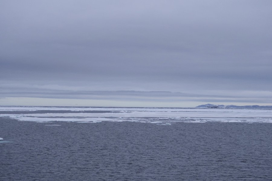 PLA09-19, DAY 05, Lomfjorden, Tanja P1068350 - Oceanwide Expeditions.jpg