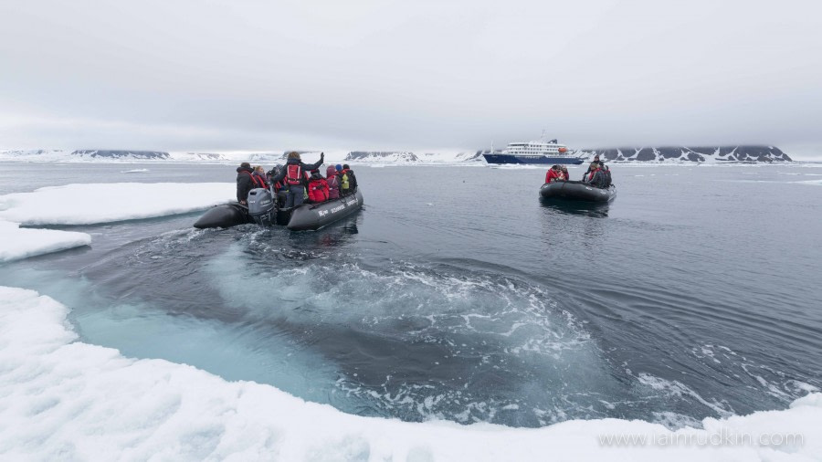 HDS06-19, DAY 03, Iain Rudkin - Guest3 - 30062019 - Oceanwide Expeditions.jpg