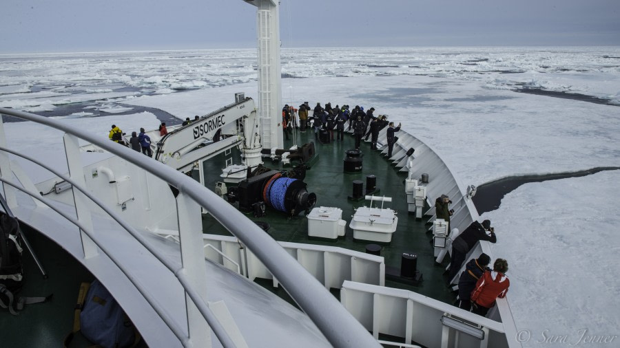 Pack ice, Northernmost latitude